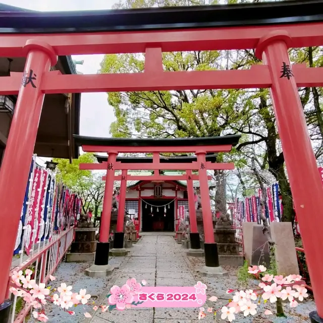 春の大阪旅行🌸桜と高倉稲荷神社