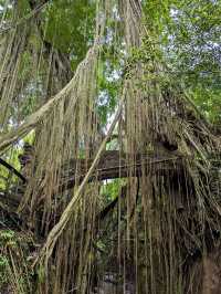 The Sacred Monkey Forest Sanctuary