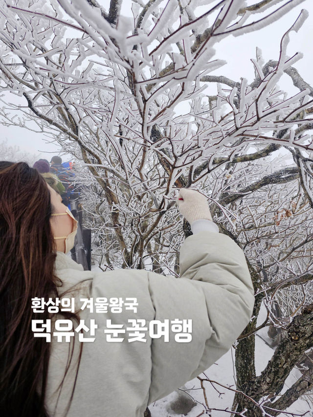 말그대로 겨울왕국❄️ 덕유산 눈꽃여행