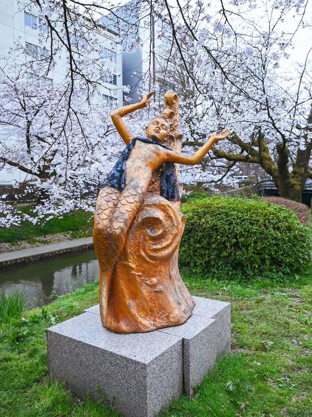【富山】桜並木の下で遊覧船が行き交う絶景スポット