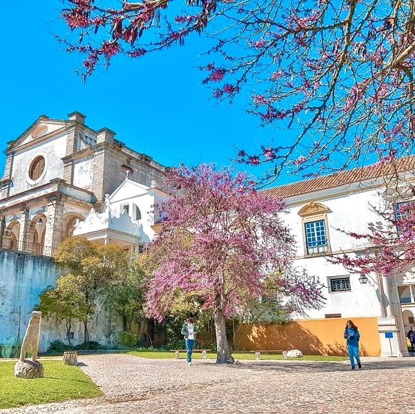 🩵 Exploring the philosophical and inspiring Evora! 🏰✨