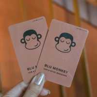 Blu Monkey สาขาใหม่ที่บางแสน กับวิวทะเลสุดปัง