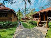 REGENT CHALET CHAAM 👙