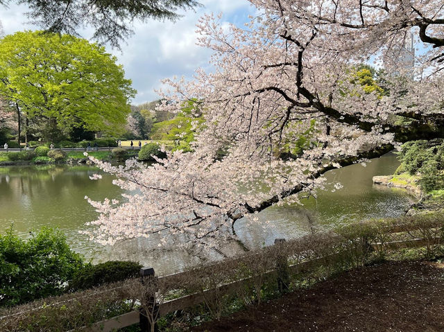 Shinjuku Gyoen National Garden