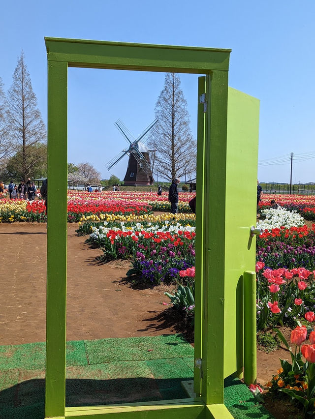 Akebonoyama Park 