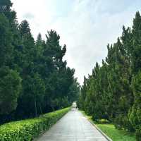 衛武營都會公園：自然的完美🎭🌳