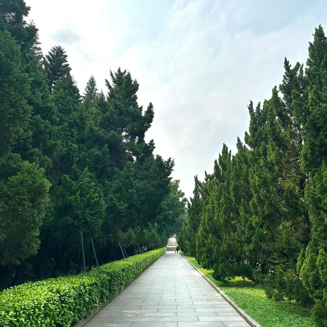 衛武營都會公園：自然的完美🎭🌳