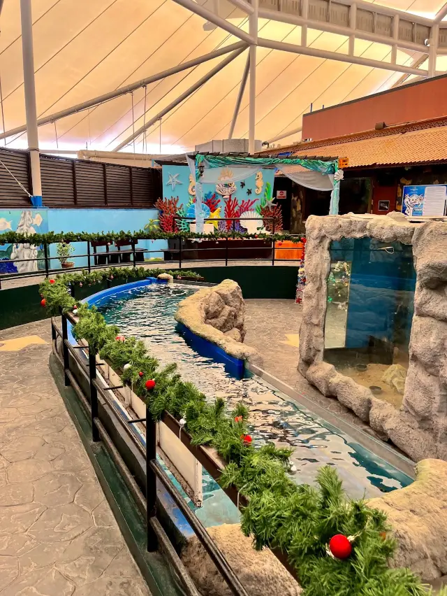 芭堤雅海底世界