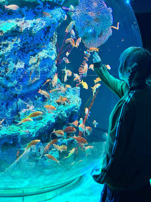 【神戸】アクアリウムとアートが融合した都市型水族館 『atoa』