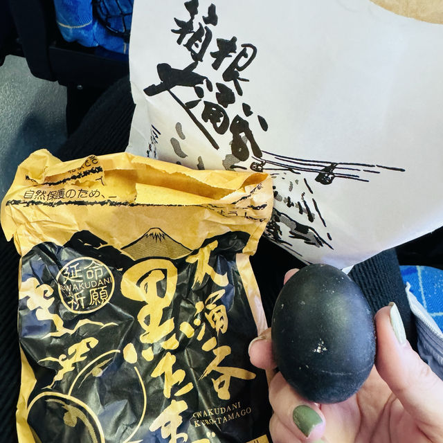 日本關東-東京自由行第一天
