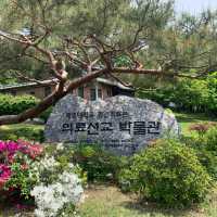 대구의 몽마르트에서 만나는 고풍스러운 옛, 대구 선교사 주택