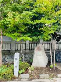 【長野県】四柱神社を参拝！