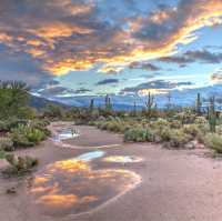 Arizona Desert: An Enchanting Oasis of Natural Wonders