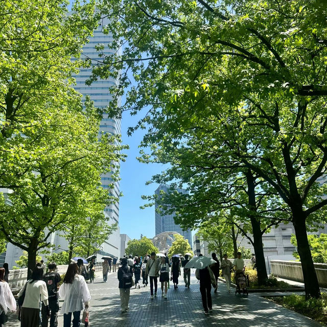 「大阪鶴見綠地公園：城市仙境，戶外康體樂」