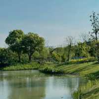 「大阪鶴見綠地公園：城市仙境，戶外康體樂」