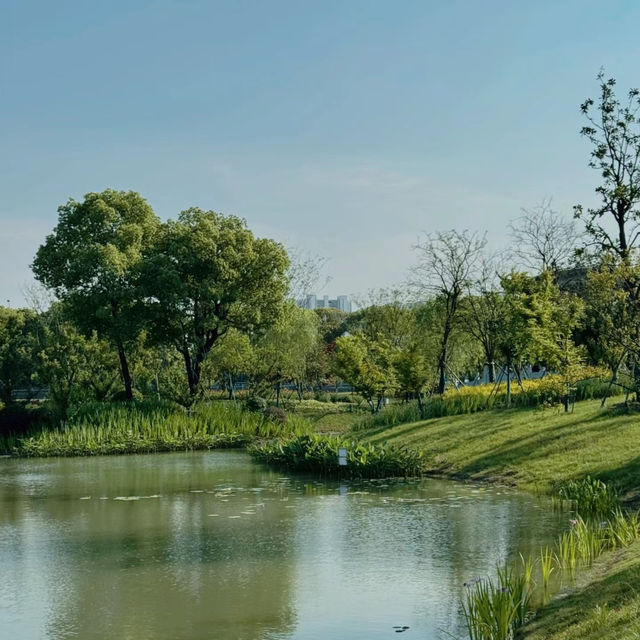 「大阪鶴見綠地公園：城市仙境，戶外康體樂」