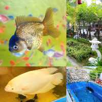 Fun at Desaru Mini Zoo