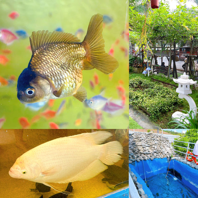 Fun at Desaru Mini Zoo