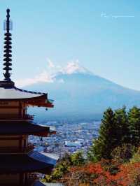 東京｜富士山必打卡點 🗻 絕美淺間神社⛩️