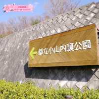 The Oyama Park