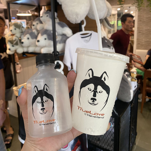 【ハスキーカフェ🐕】
