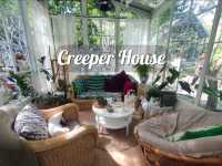 แวะทานกาแฟ ที่ Creeper House 