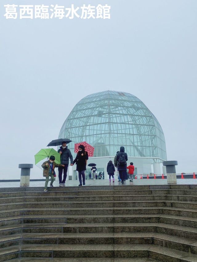 【雨の日のお出かけに☔️葛西臨海水族館🐠】