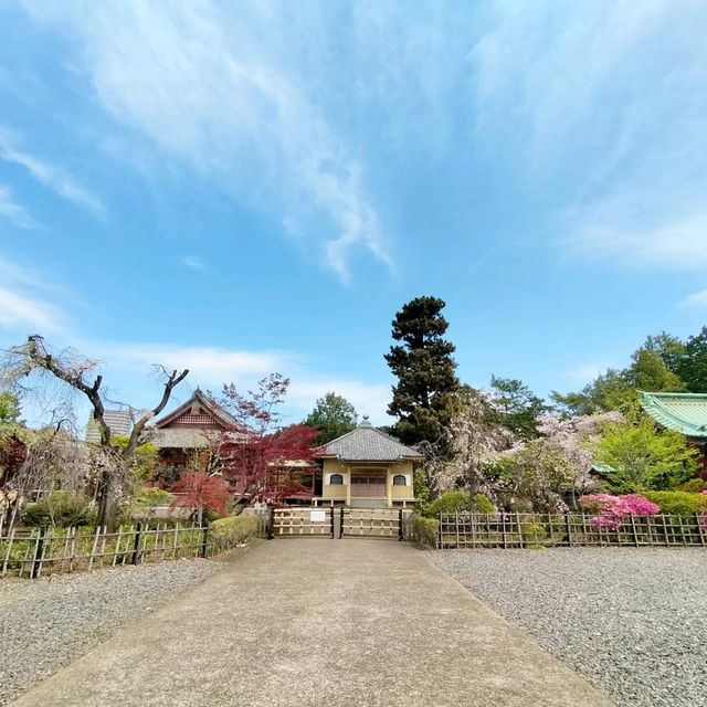 夏旅は東京へ行こう💠東京上野でお寺巡り『寛永寺』