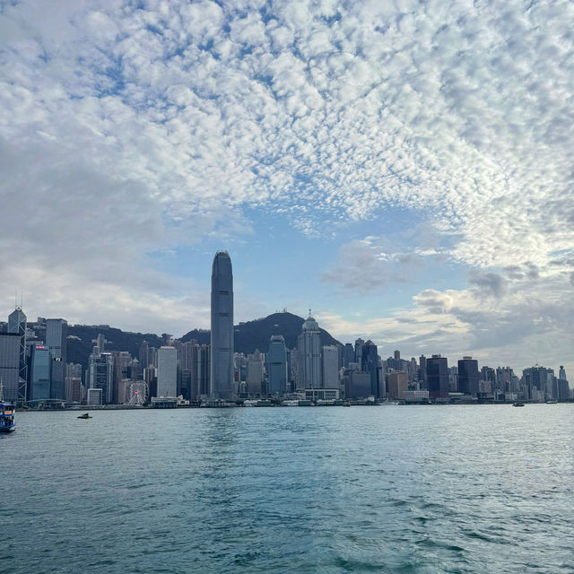 Victoria Harbour ฮ่องกง 🏙️🌃