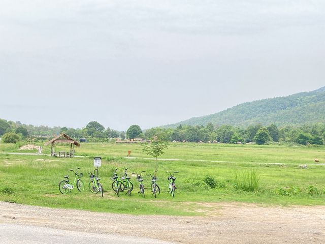 เที่ยว “ห้วยตึงเฒ่า” บรรยากาศฤดูฝน 