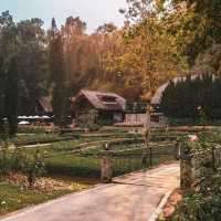 รีวิว Flora Creek - Krisada Doi, Chiang Mai