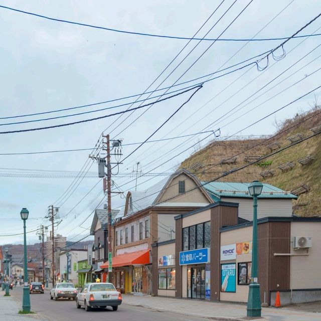 오타루에는 이거리에 다 있다
