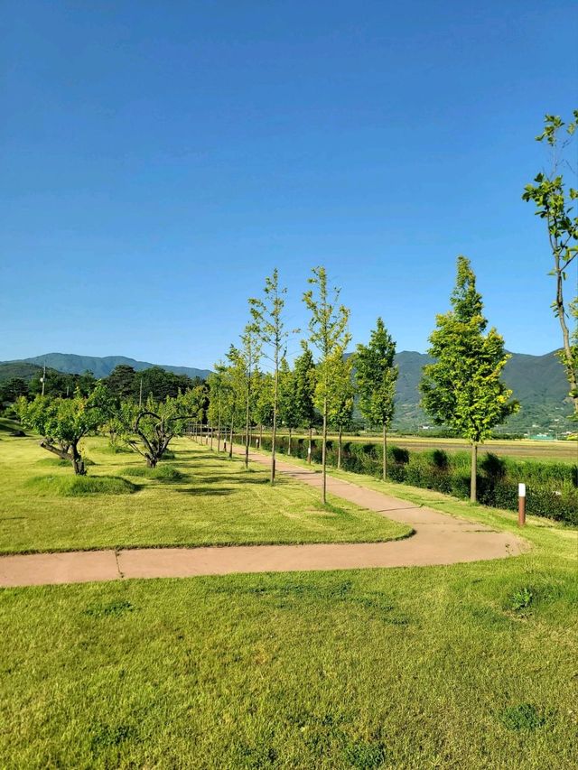 봄부터 여름까지 쭉 싱그러울 하동여행지💚
