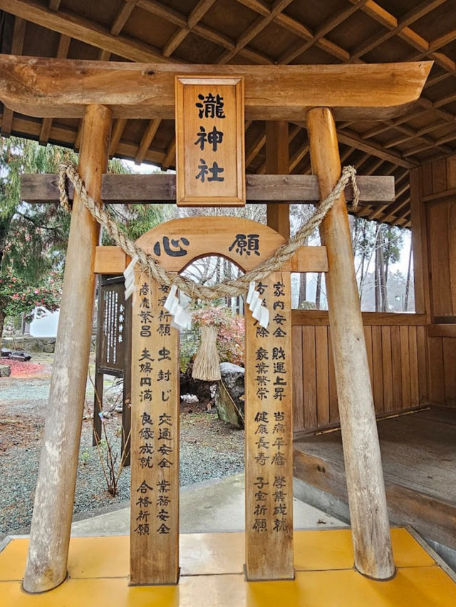 【大分神社】神社の女将さん自らデザインする花手水が美しい