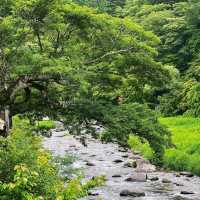 德裕山國立公園：大自然魅力