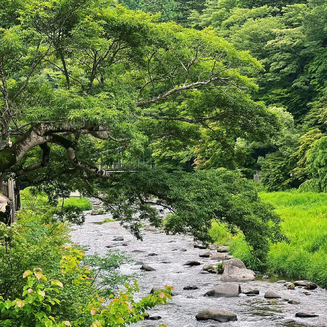 德裕山國立公園：大自然魅力