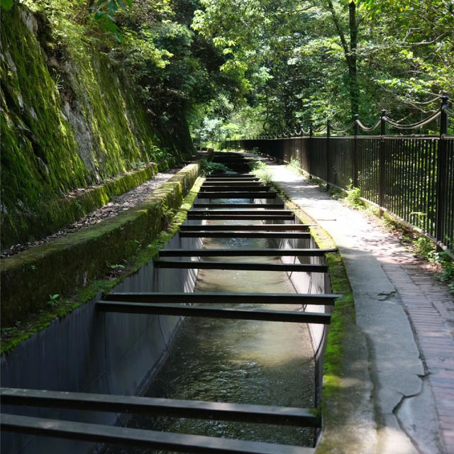 等覺院：穿越時空感受文化魅力