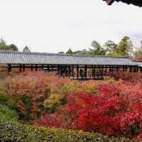 【京都観光】京都の紅葉スポット