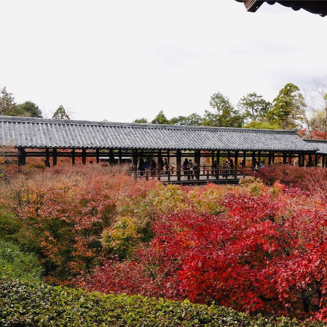 【京都観光】京都の紅葉スポット