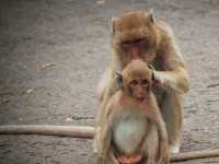 เขาหน่อ จ.นครสวรรค์