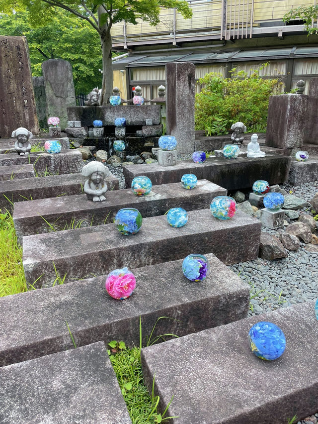 圧巻！大仏様とカラフルな紫陽花のコラボ🤗💠💐✨