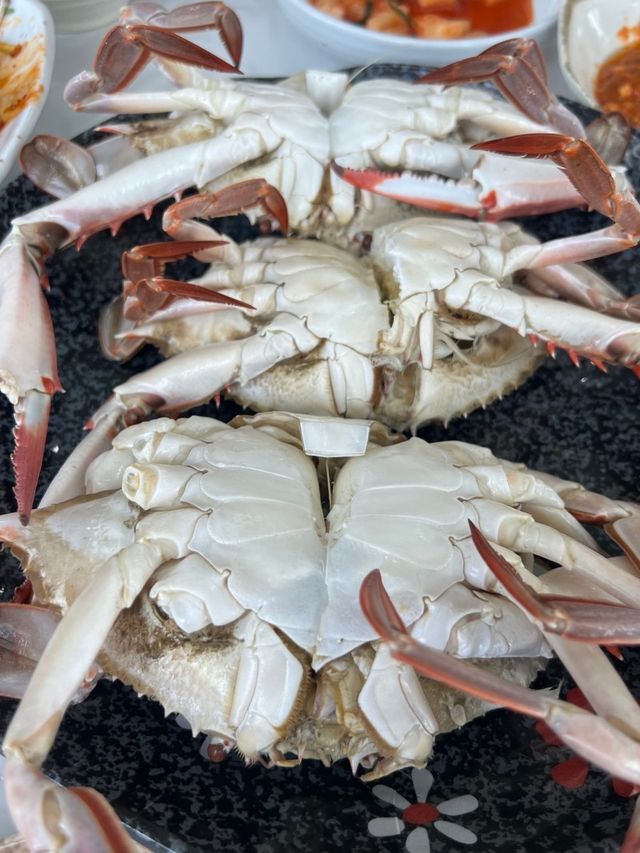 홍원항 오션뷰 맛집💙