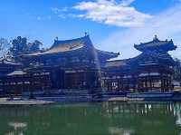 One day tri in Uji