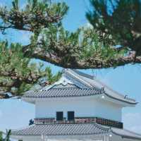 水城～歷史遺產的寧靜悠閒