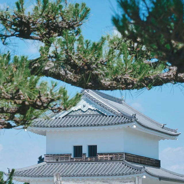水城～歷史遺產的寧靜悠閒