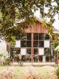 曼谷景點：Sawanbondin Tea House & Experience