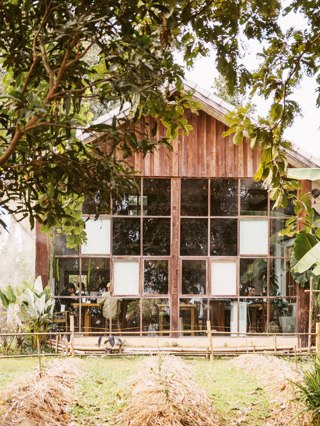 曼谷景點：Sawanbondin Tea House & Experience