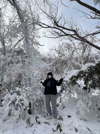 제주도 겨울 필수코스 ‘1100고지’❄️