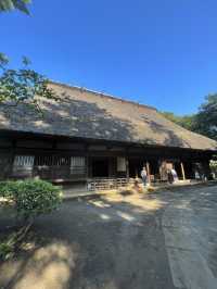 〜神奈川県〜初夏を感じる都会の癒しスポット