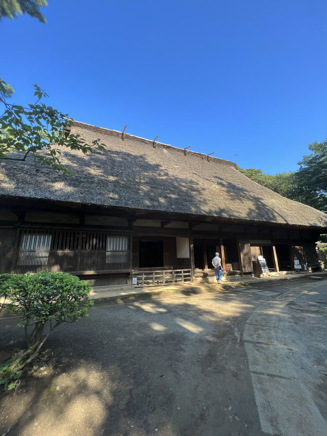 〜神奈川県〜初夏を感じる都会の癒しスポット